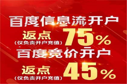 百度包年竞价策略优化：提高投资回报率